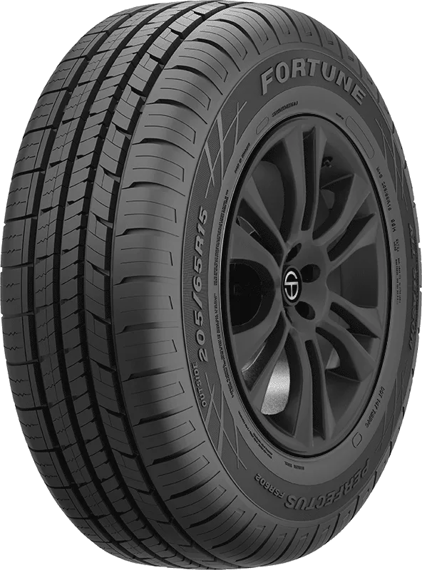 FSR602